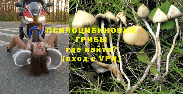 герыч Вязьма