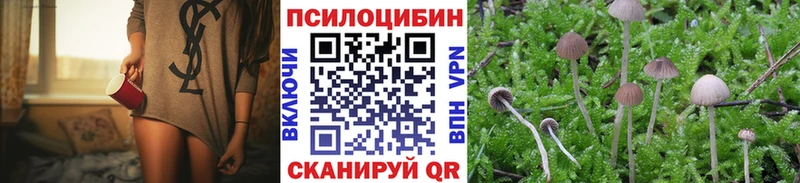 Купить где  Красный Холм  Псилоцибиновые грибы Psilocybine cubensis 